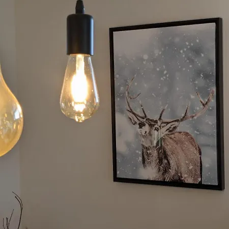 2 L'oreade Sancy Apartamento La Bourboule